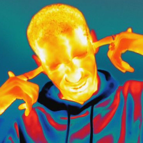 Meet your Posher, Payton - Picture 1 of 1